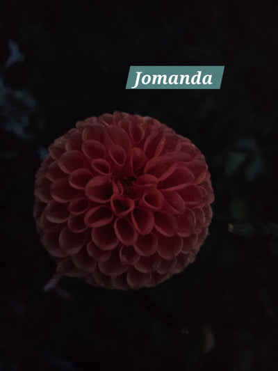 Jomanda
