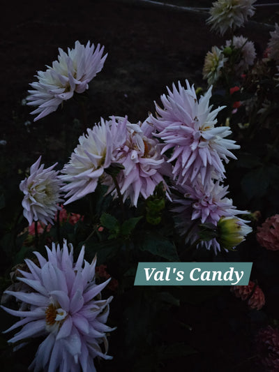 Val's Candy